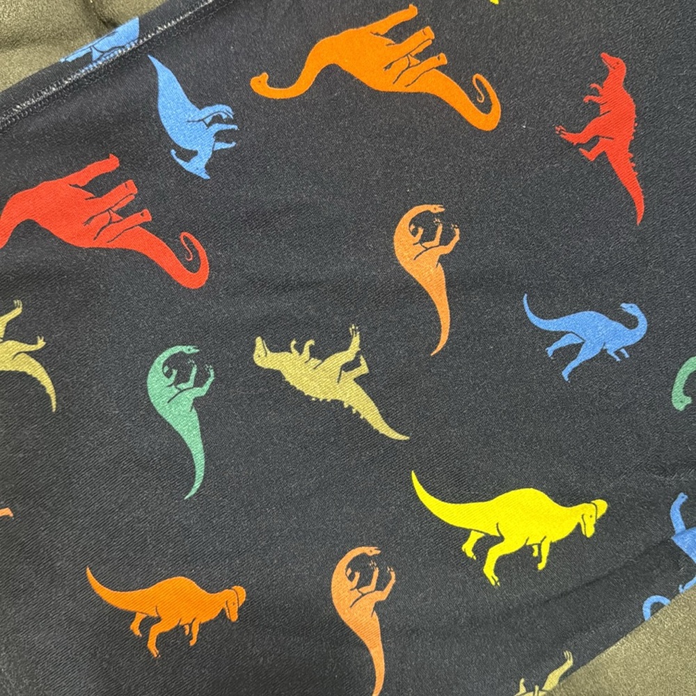 Hanna Andersson Dinosaur Pajamas size 10 - Picture 3 of 5